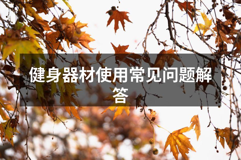 多种健身器材展示